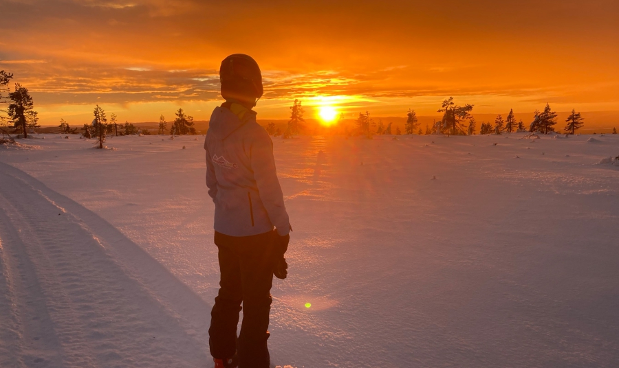 Wintersport in Scandinavian Mountains